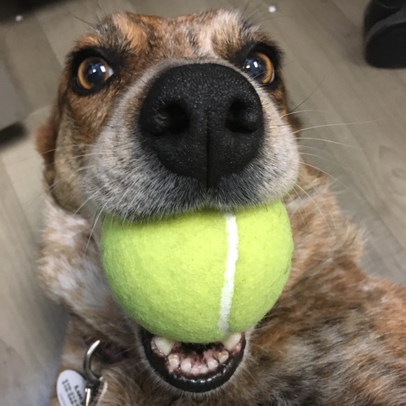 Meet your Posher, Kristy - Picture 6 of 10